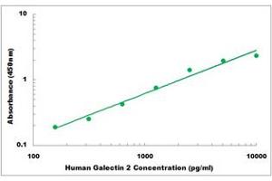 Representative Standard Curve (Galectin 2 Kit ELISA)