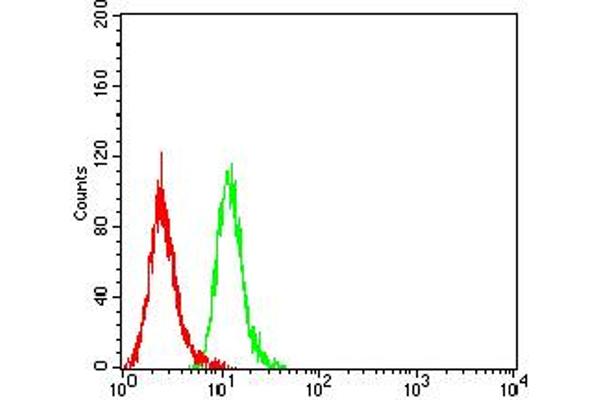 CD40 anticorps  (AA 21-193)