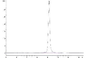 Size-exclusion chromatography-High Pressure Liquid Chromatography (SEC-HPLC) image for CD3D & CD3E (AA 23-126) protein (Fc Tag) (ABIN7274146)