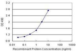 Sandwich ELISA detection sensitivity ranging from 0. (CLIC3 (Humain) Matched Antibody Pair)