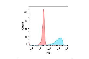 Flow cytometry analysis with Anti-B7-H2 (DM97) on Expi293 cells transfected with human B7-H2 (Blue histogram) or Expi293 transfected with irrelevant protein (Red histogram). (ICOSLG anticorps  (AA 19-256))