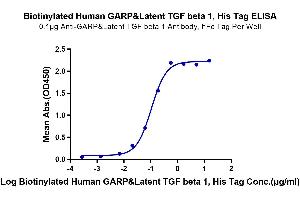 Immobilized Anti-GARP&Latent TGF beta 1 Antibody, hFc Tag at 1 μg/mL (100 μL/Well) on the plate. (GARP & Latent TGF beta 1 Complex (AA 20-628) protein (His-Avi Tag,Biotin))