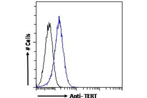 ABIN940568 Flow cytometric analysis of paraformaldehyde fixed HeLa cells (blue line), permeabilized with 0. (TERT anticorps  (AA 597-611))