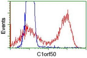 Image no. 3 for anti-Chromosome 1 Open Reading Frame 50 (C1ORF50) antibody (ABIN1497032) (C1ORF50 anticorps)