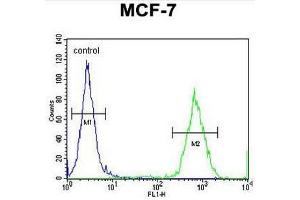 GPD1L Antibody (N-term) flow cytometric analysis of MCF-7 cells (right histogram) compared to a negative control cell (left histogram). (GPD1L anticorps  (N-Term))