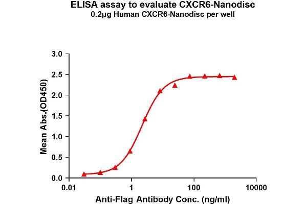 CXCR6 Protéine