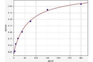 Typical standard curve (Amphiregulin Kit ELISA)