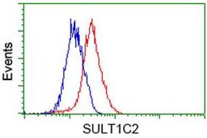Flow cytometric Analysis of Hela cells, using anti-SULT1C2 antibody (ABIN2454715), (Red), compared to a nonspecific negative control antibody, (Blue). (SULT1C2 anticorps)