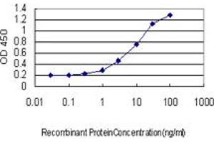 Detection limit for recombinant GST tagged SYNE1 is approximately 0. (SYNE1 anticorps  (AA 1561-1670))