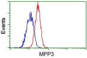 Flow Cytometry (FACS) image for anti-Membrane Protein, Palmitoylated 3 (MAGUK P55 Subfamily Member 3) (MPP3) antibody (ABIN1499547) (MPP3 anticorps)