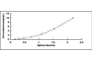 Typical standard curve (HIST1H4A Kit ELISA)