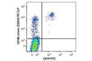Flow Cytometry (FACS) image for anti-Chemokine (C-X-C Motif) Receptor 5 (CXCR5) antibody (PE-Cy7) (ABIN2659139) (CXCR5 anticorps  (PE-Cy7))
