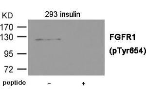 Western blot analysis of extracts from 293 cells treated with insulin using FGFR1 (Phospho-Tyr654) Antibody. (FGFR1 anticorps  (pTyr654))