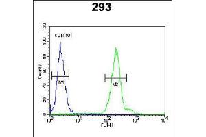 Flow cytometric analysis of 293 cells (right histogram) compared to a negative control cell (left histogram). (CRELD2 anticorps  (C-Term))
