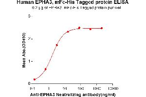 ELISA plate pre-coated by 2 μg/mL (100 μL/well) Human E, mFc-His tagged protein (ABIN6961115, ABIN7042259 and ABIN7042260) can bind Anti-E Neutralizing antibody ABIN6964432 and ABIN7272568 in a linear range of 0. (EPH Receptor A3 Protein (EPHA3) (AA 21-541) (mFc-His Tag))
