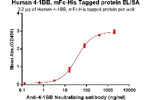 ELISA plate pre-coated by 2 μg/mL (100 μL/well) Human 4-1BB, mFc-His tagged protein (ABIN6961084, ABIN7042197 and ABIN7042198) can bind Anti-4-1BB Neutralizing antibody ABIN7093056 and ABIN7272586 in a linear range of 3. (CD137 Protein (AA 24-186) (mFc-His Tag))