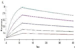 Surface Plasmon Resonance (SPR) image for B and T Lymphocyte Associated (BTLA) (AA 31-150) protein (His-Avi Tag) (ABIN7273998)