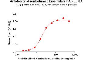 ELISA plate pre-coated by 2 μg/mL (100 μL/well) Human NECTIN-4 Protein, His Tag ABIN6964194, ABIN7042647 and ABIN7042648 can bind Anti-Nectin-4 Neutralizing antibody (ABIN7477991 and ABIN7490922) in a linear range of 0. (Recombinant Nectin-4 (Enfortumab Biosimilar) anticorps)