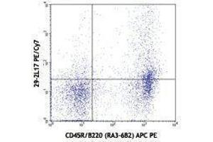 Flow Cytometry (FACS) image for anti-Chemokine (C-C Motif) Receptor 6 (CCR6) antibody (PE-Cy7) (ABIN2659455) (CCR6 anticorps  (PE-Cy7))
