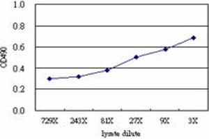 Sandwich ELISA detection sensitivity ranging from approximately 81x to 3x dilution of the VRK1 293T overexpression lysate (non-denatured). (VRK1 (Humain) Matched Antibody Pair)