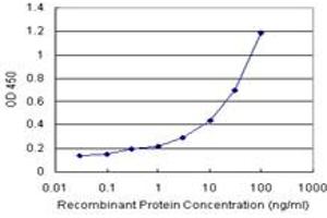 Sandwich ELISA detection sensitivity ranging from 0. (CEBPG (Humain) Matched Antibody Pair)