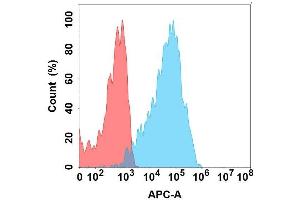 Flow cytometry analysis with Anti-C on Expi293 cells transfected with human C (Blue histogram) or Expi293 transfected with irrelevant protein (Red histogram). (CXCR7 anticorps)