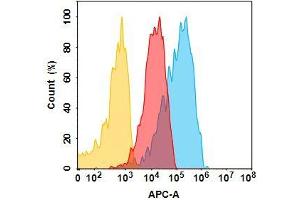 Flow Cytometry (FACS) image for anti-ALCAM (Praluzatamab Biosimilar) antibody (ABIN7538754)