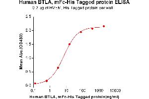 ELISA plate pre-coated by 2 μg/mL (100 μL/well) Human HVEM, His tagged protein ABIN6964089, ABIN7042433 and ABIN7042434 can bind Human BTLA,mFc-His tagged protein (ABIN6961116, ABIN7042261 and ABIN7042262) in a linear range of 0. (BTLA Protein (AA 31-150) (mFc-His Tag))