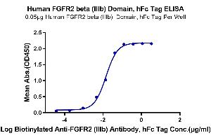 Immobilized Human FGFR2 beta (IIIb) Domain, hFc Tag at 0. (FGFR2 beta (AA 253-378) protein (Fc Tag))