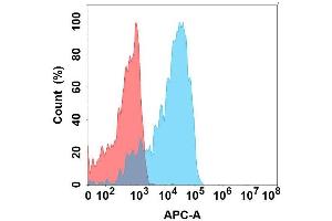 Flow cytometry analysis with Anti-GP6 on Expi293 cells transfected with human GP6 (Blue histogram) or Expi293 transfected with irrelevant protein (Red histogram). (GP6 anticorps)