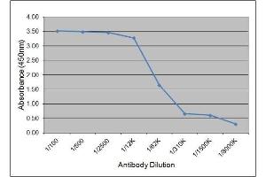 ELISA image for anti-Luteinizing Hormone (LH) antibody (ABIN2475368) (Luteinizing Hormone anticorps)