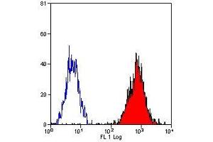 Flow Cytometry (FACS) image for anti-HLA Class I B7 Alpha (HLA B7) antibody (PE) (ABIN2474060) (HLA B7 anticorps  (PE))