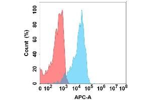 Flow cytometry analysis with Anti-SL on Expi293 cells transfected with human SL (Blue histogram) or Expi293 transfected with irrelevant protein (Red histogram). (SLAMF1 anticorps)