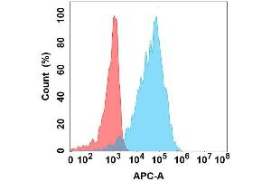 Flow cytometry analysis with Anti-CD5L on Expi293 cells transfected with human CD5L (Blue histogram) or Expi293 transfected with irrelevant protein (Red histogram). (CD5L anticorps)