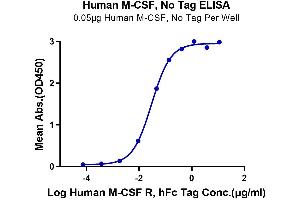 ELISA image for Colony Stimulating Factor 1 (Macrophage) (CSF1) (AA 33-190) protein (ABIN7274423)