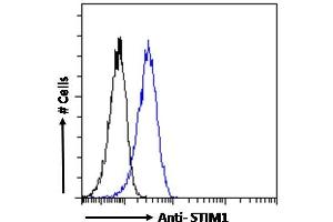 ABIN5539591 Flow cytometric analysis of paraformaldehyde fixed A431 cells (blue line), permeabilized with 0. (STIM1 anticorps  (Internal Region))