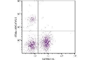 BALB/c mouse splenocytes were stained with Rat Anti-Mouse CD8α-APC/CY5. (CD8 alpha anticorps  (APC-Cy5.5))