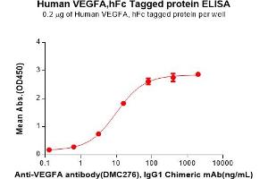 ELISA plate pre-coated by 2 μg/mL (100 μL/well) Human VEGFA Protein, hFc Tag(ABIN6964343, ABIN7272548 and ABIN7272549) can bind Anti-VEGFA antibody, IgG1 Chimeric mAb in a linear range of 3. (VEGFA Protein (AA 27-147) (Fc Tag))