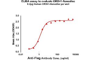 Elisa plates were pre-coated with Flag Tag OR2H1-Nanodisc (0. (OR2H1 Protéine)
