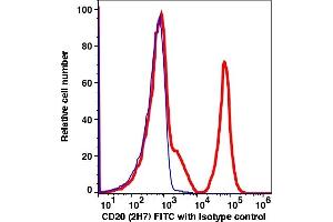 Flow Cytometry (FACS) image for anti-Membrane-Spanning 4-Domains, Subfamily A, Member 1 (MS4A1) antibody (FITC) (ABIN2704213) (CD20 anticorps  (FITC))