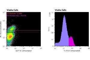 Flowcytometry of huSSECTM cell line overexpressing hFcRn-EGFP labeled with clone DVN24 primary Ab and Texas Red™ conjugated anti-mouse secondary. (FcRn anticorps)