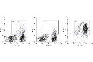 Flow Cytometry (FACS) image for Anti-Mouse CD117 Magnetic Particles (ABIN1305234)