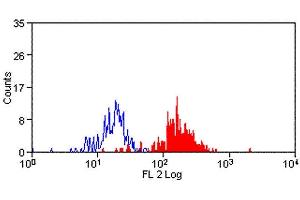 Flow Cytometry (FACS) image for anti-Signal-Regulatory Protein alpha (SIRPA) antibody (ABIN2478785) (SIRPA anticorps)