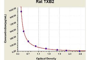 Diagramm of the ELISA kit to detect Rat TXB2with the optical density on the x-axis and the concentration on the y-axis. (Thromboxane B2 Kit ELISA)