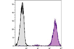 DBA/2 mouse mastocytoma cell line P815 and mB7. (CD86 anticorps  (SPRD))