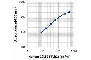ELISA image for anti-Chemokine (C-C Motif) Ligand 17 (CCL17) antibody (ABIN2664095) (CCL17 anticorps)