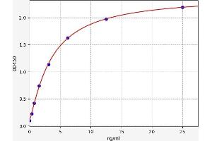 Typical standard curve (IGFBP3 Kit ELISA)