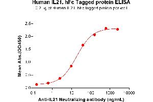 ELISA plate pre-coated by 2 μg/mL (100 μL/well) Human IL21 Protein, hFc Tag (ABIN6964397, ABIN7042851 and ABIN7042852) can bind Anti-IL21 Neutralizing antibody ABIN7478002 and ABIN7490948 in a linear range of 2. (IL-21 Protein (AA 30-162) (Fc Tag))