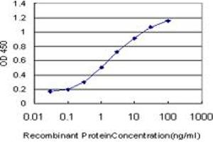 Detection limit for recombinant GST tagged JAG2 is approximately 0. (JAG2 anticorps  (AA 121-210))