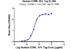 ELISA image for CD86 (CD86) (AA 26-247) protein (Fc Tag) (ABIN7273897)